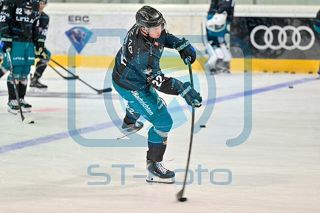 Eishockey, Herren, DEL, Saison 2026-2027, ERC Ingolstadt - HC Verva Litvinov - Steinbach Black Wings Linz, 22.08.2026