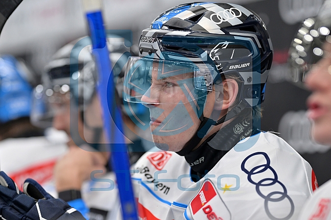 Eishockey, Herren, DEL, Saison 2024-2025, Vorbereitung, ERC Ingolstadt - Dresdner Eislöwen, 18.08.2024