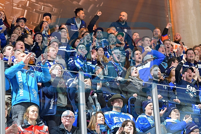 Thomas Sabo Ice Tigers vs ERC Ingolstadt, Eishockey, DEL, Deutsche Eishockey Liga, Spieltag 43, 27.01.2019