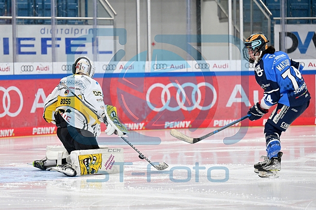 Eishockey, Frauen, DFEL, Saison 2023-2024, ERC Ingolstadt - Mad Dogs Mannheim, 18.02.2024