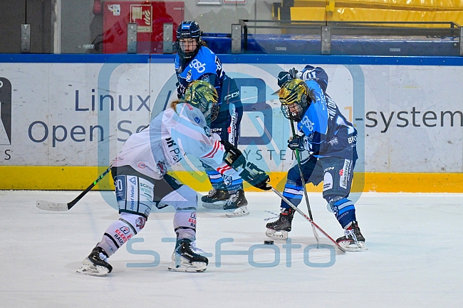 Eishockey, Frauen, DFEL, Saison 2025-2026, ERC Ingolstadt - ECDC Memmingen Indians, 25.01.2026