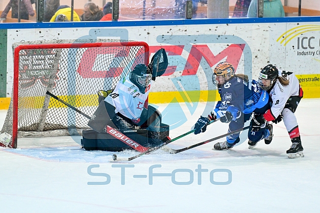 Eishockey, Frauen, DFEL, Saison 2024-2025, ERC Ingolstadt - HK Budapest Roster, 12.01.2025