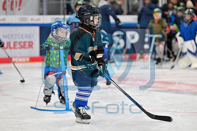 Eishockey, Herren, DEL, Saison 2023-2024, ERC Ingolstadt - Kids on Ice Day, 18.11.2023