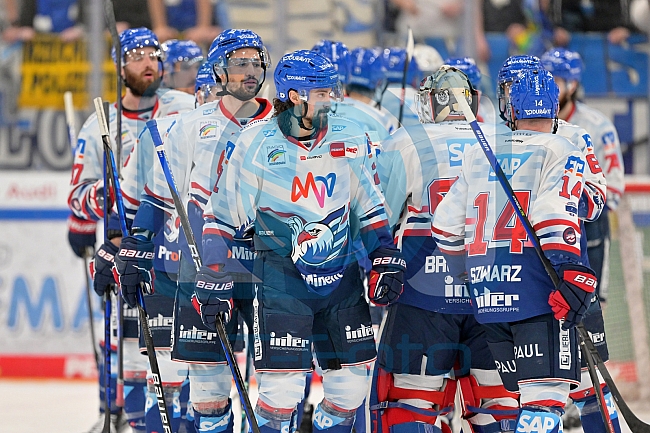 Eishockey, Herren, DEL, Saison 2022-2023, Playoff-Halbfinale - Spiel 3, ERC Ingolstadt - Adler Mannheim, 04.04.2023