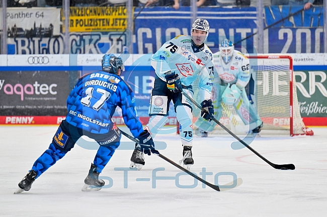 Eishockey, Herren, DEL, Saison 2025-2026, Spiel 23, ERC Ingolstadt - Dresdner Eislöwen, 28.11.2025