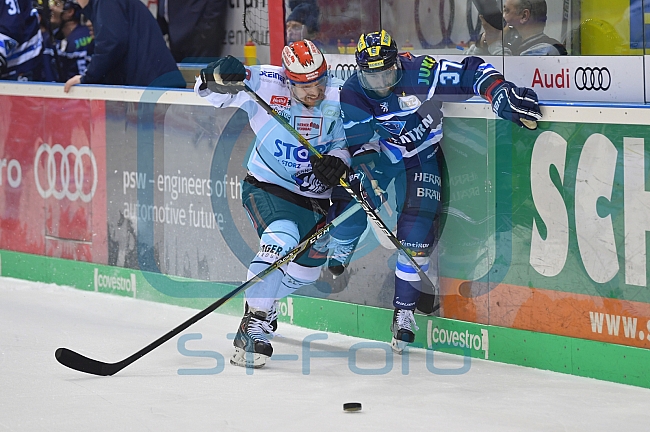ERC Ingolstadt vs Schwenninger Wild Wings, DEL, Deutsche Eishockey Liga, Spieltag 48, 19.02.2019