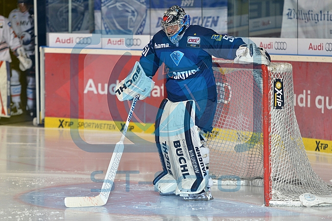 ERC Ingolstadt vs Adler Mannheim, Eishockey, DEL, Deutsche Eishockey Liga, 24.02.2016