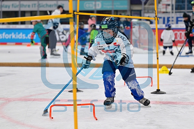 Eishockey, Herren, DEL, Saison 2023-2024, ERC Ingolstadt - Kids on Ice Day, 18.11.2023