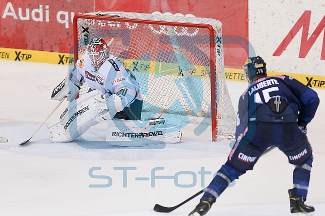 ERC Ingolstadt vs Augsburger Panther, Eishockey, DEL, Deutsche Eishockey Liga, Spieltag 2, 13.09.2015