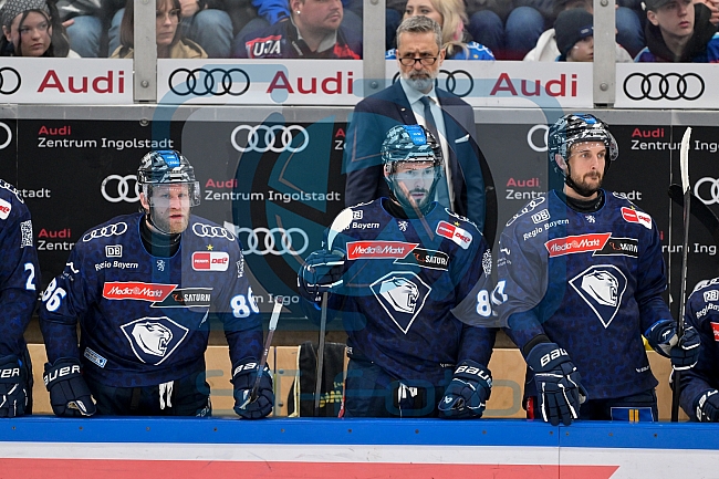 Eishockey, Herren, DEL, Saison 2024-2025, Playoffs Halbfinale, Spiel 1, ERC Ingolstadt - Kölner Haie, 02.04.2025