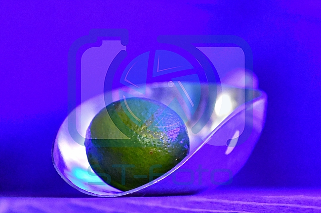 ERC Ingolstadt vs Schwenninger Wild Wingsam 19.02.2019, Spieltag 48