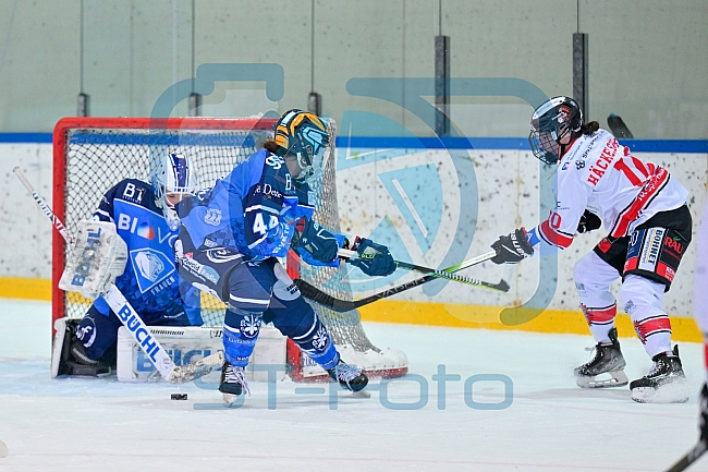 Eishockey, Frauen, DFEL, Saison 2023-2024, ERC Ingolstadt - ECDC Memmingen Indians, 21.01.2024