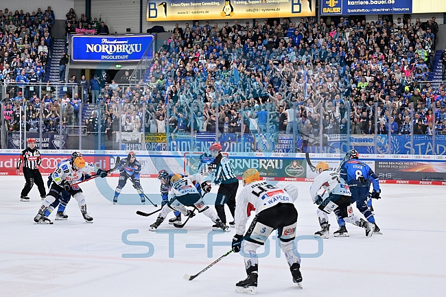 Eishockey, Herren, DEL, Saison 2023-2024, Playoffs Viertelfinale - Spiel 2, ERC Ingolstadt - Fischtown Pinguins , 20.03.2024