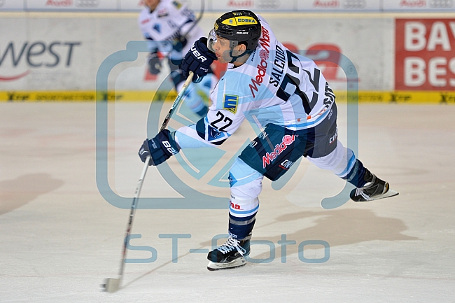 ERC Ingolstadt vs Hamburg Freezers, Eishockey, DEL, Deutsche Eishockey Liga, 05.02.2016