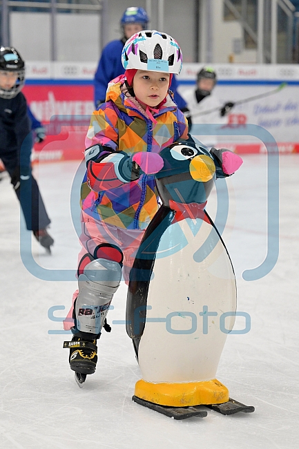 Eishockey, Herren, DEL, Saison 2022-2023, ERC Ingolstadt - Kids On Ice Day, 19.11.2022