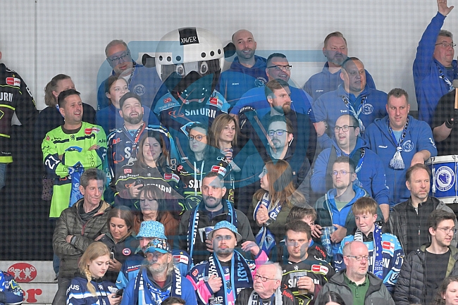 Eishockey, Herren, DEL, Saison 2022-2023, Playoff-Halbfinale - Spiel 1, ERC Ingolstadt - Adler Mannheim, 31.03.2023