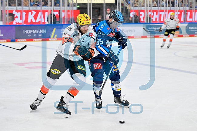 Eishockey, Herren, DEL, Saison 2025-2026, Spiel 10, ERC Ingolstadt - Löwen Frankfurt, 12.10.2025