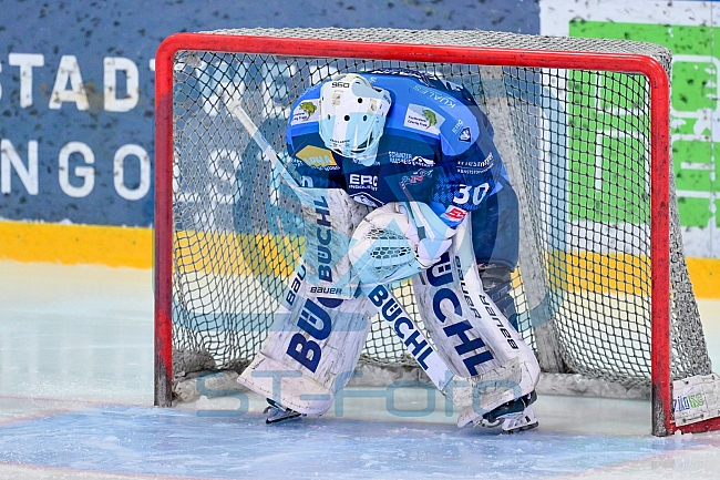 Eishockey, Herren, U20 DNL, Saison 2025-2026, Viertelfinale - Spiel 2, ERC Ingolstadt - ESC Dresden, 08.03.2026