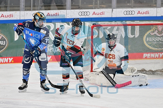 Eishockey, Frauen, DFEL, Saison 2023-2024, ERC Ingolstadt - EC Bergkamener Bären, 28.10.2023