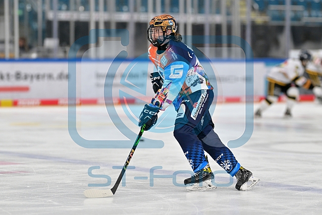 Eishockey, Frauen, DFEL, Vorbereitung, Saison 202-2025, ERC Ingolstadt - St. Pölten, 07.09.2024