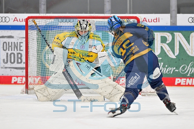 Eishockey, Frauen, DFEL, Saison 2022-2023, ERC Ingolstadt - Mad Dogs Mannheim, 19.11.2022