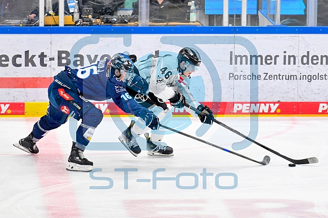 Eishockey, Herren, DEL, Saison 2024-2025, Playoffs Halbfinale, Spiel 3, ERC Ingolstadt - Kölner Haie, 06.04.2025