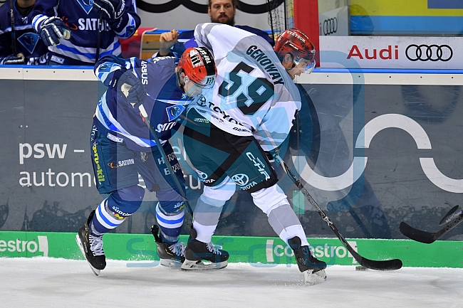 ERC Ingolstadt vs Koelner Haie, DEL, Deutsche Eishockey Liga, Spieltag 41, 20.01.2019