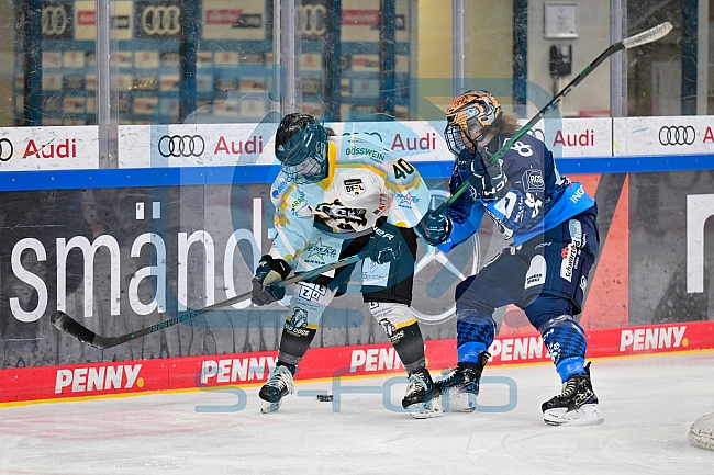 Eishockey, Frauen, DFEL, Saison 2024-2025, ERC Ingolstadt - Mad Dogs Mannheim, 23.11.2024