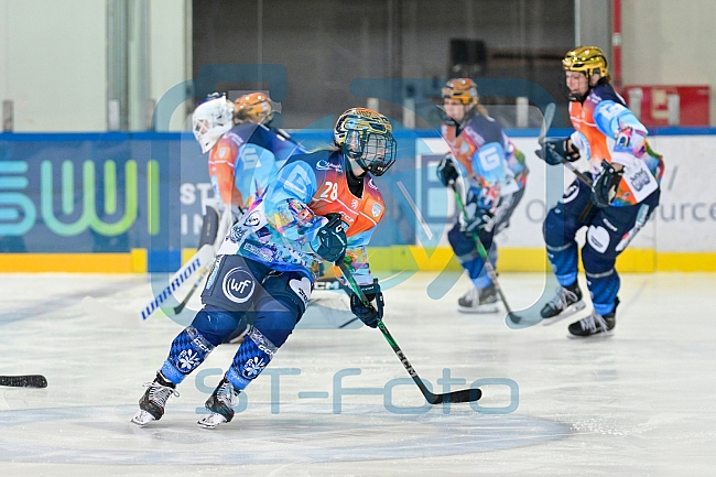 Eishockey, Frauen, DFEL, Saison 2024-2025, ERC Ingolstadt - ECDC Memmingen Indians, 19.01.2025