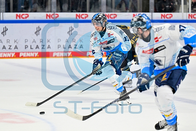 Eishockey, Herren, DEL, Saison 2024-2025, Playoffs Viertelfinale, Spiel 6, Nürnberg Ice Tigers - ERC Ingolstadt, 28.03.2025