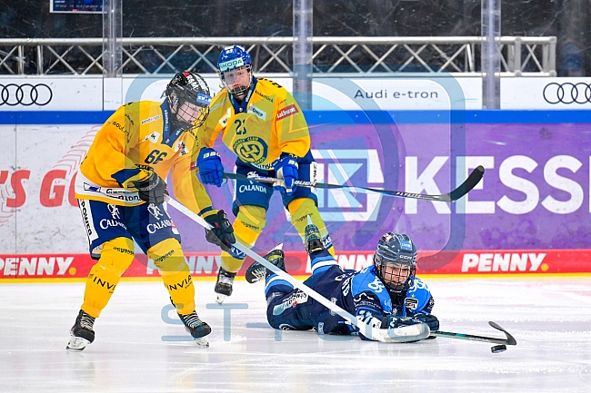 Eishockey, Frauen, DFEL, Saison 2025-2026, Testspiel, ERC Ingolstadt - HC Davos, 14.02.2026