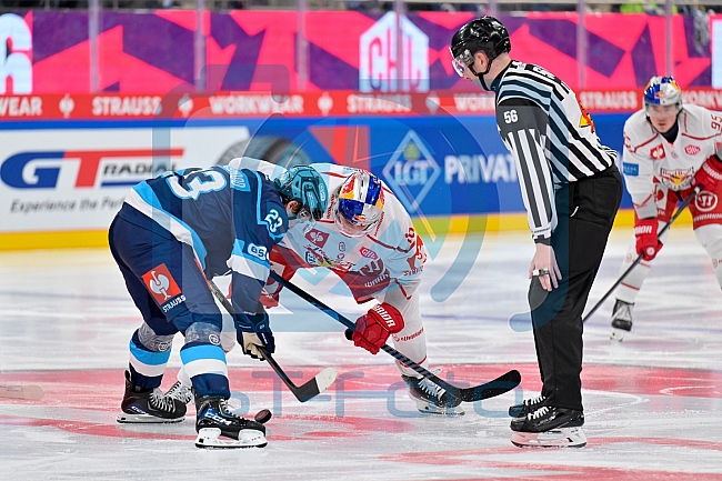 Hockey, Mens, CHL, Season 2025-2026, Regular Season, Round of 16, ERC Ingolstadt - EC Red Bull Salzburg, 12.11.2025