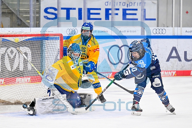 Eishockey, Frauen, DFEL, Saison 2025-2026, Testspiel, ERC Ingolstadt - HC Davos, 14.02.2026