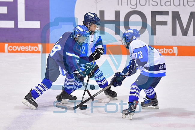 ERC Ingolstadt vs Iserlohn Roosters, DEL, Deutsche Eishockey Liga, Spieltag 39, 13.01.2019