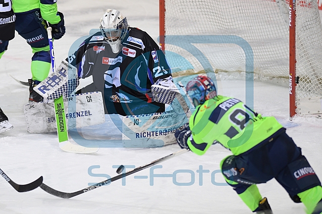 Eishockey, Herren, DEL, Saison 2020-2021, Straubing Tigers - ERC Ingolstadt, 31.01.2021