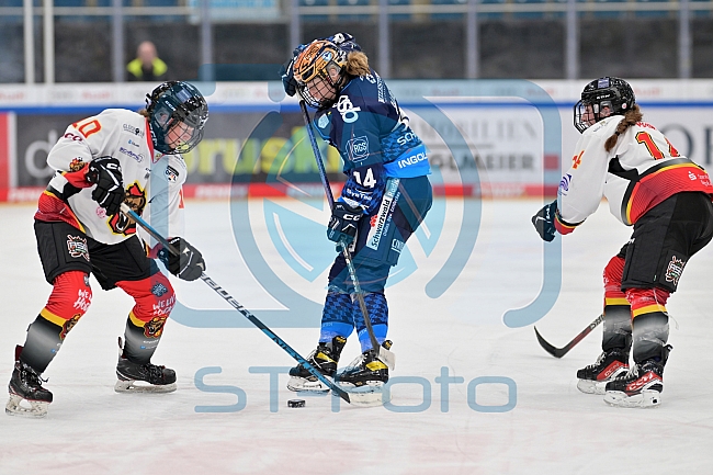 Eishockey, Frauen, DFEL, Saison 2024-2025, ERC Ingolstadt - EC Bergkamener Bären, 12.10.2024