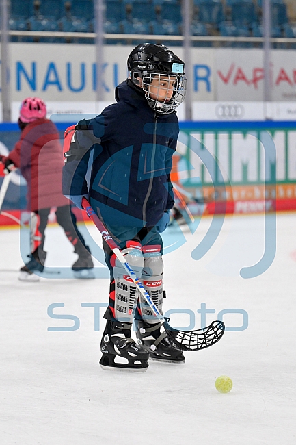 Eishockey, Saison 2025-2026, ERC Ingolstadt - Kids On Ice Day, 10.01.2026