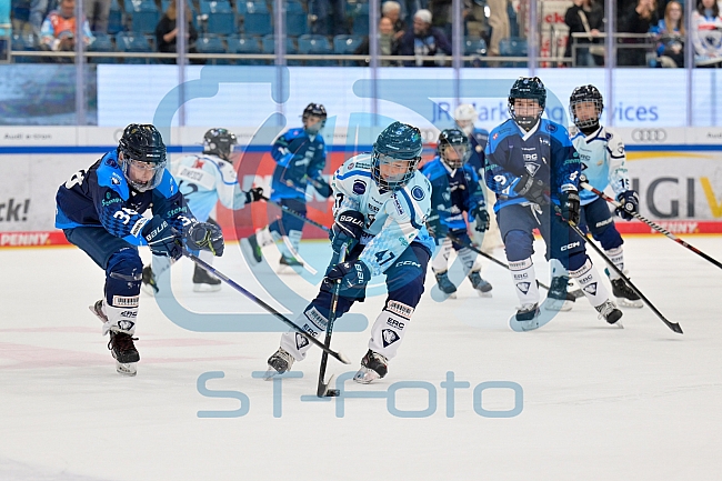 Eishockey, Herren, DEL, Saison 2025-2026, Spiel 7, ERC Ingolstadt - Straubing Tigers, 03.10.2025