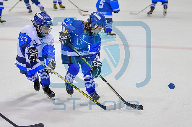 ERC Ingolstadt vs Fischtown Pinguins, Eishockey, DEL, Deutsche Eishockey Liga, Spieltag 13, 21.10.2018