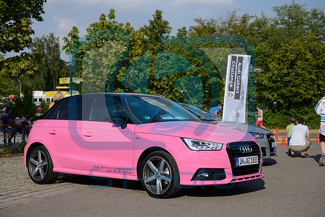 ERC Ingolstadt Saisoneroeffnungsfeier, DEL, Deutsche Eishockey Liga, 08.08.2015