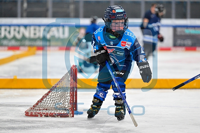 Eishockey, Saison 2025-2026, ERC Ingolstadt - Kids On Ice Day, 10.01.2026