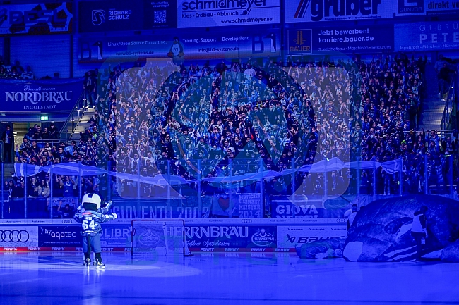 Eishockey, Herren, DEL, Saison 2025-2026, Spiel 51, ERC Ingolstadt - Augsburger Panther, 13.03.2026