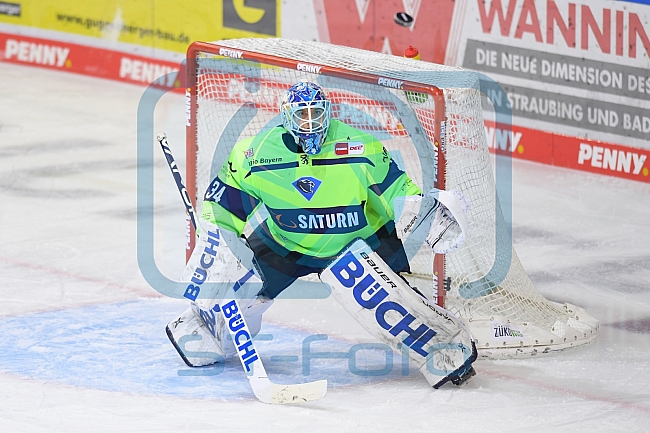 Eishockey, Herren, DEL, Saison 2020-2021, Straubing Tigers - ERC Ingolstadt, 31.01.2021
