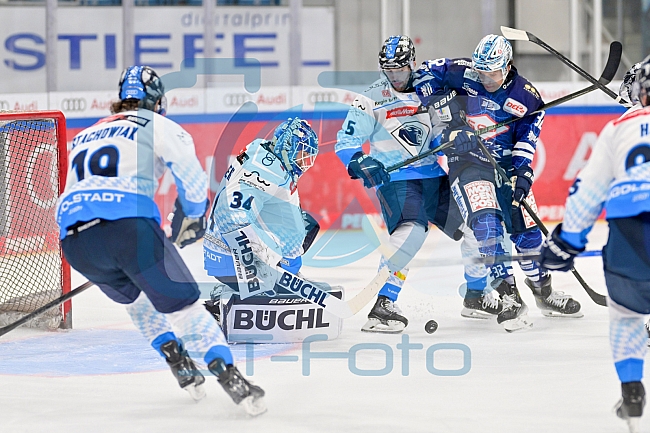 Eishockey, Herren, DEL, Saison 2024-2025, Vorbereitung, ERC Ingolstadt - Dresdner Eislöwen, 18.08.2024