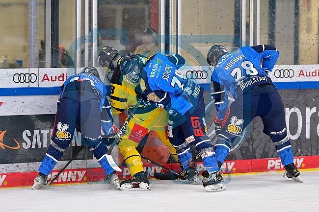 Eishockey, U20, DNL, Saison 2024-2025, ERC Ingolstadt - Krefelder EV 81, 01.03.2025