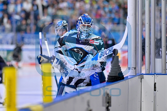 Eishockey, Herren, DEL, Saison 2024-2025, Playoffs Halbfinale, Spiel 3, ERC Ingolstadt - Kölner Haie, 06.04.2025