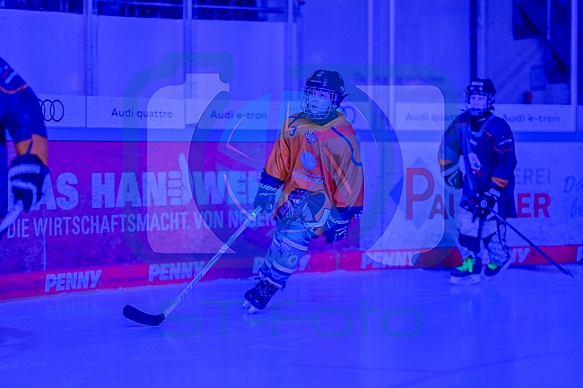 Eishockey, Herren, DEL, Saison 2025-2026, Spiel 51, ERC Ingolstadt - Augsburger Panther, 13.03.2026