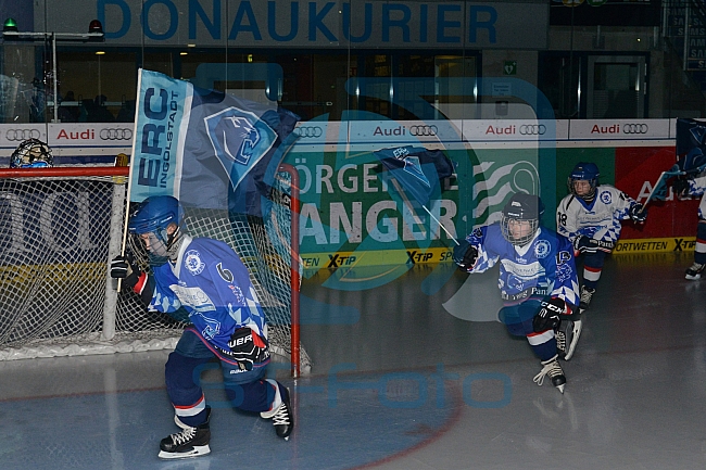 ERC Ingolstadt vs Straubing Tigers, Eishockey, DEL, Deutsche Eishockey Liga, 22.12.2015