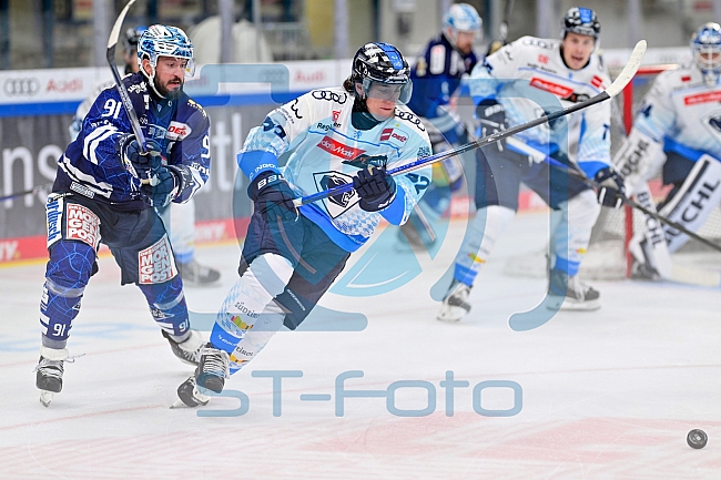 Eishockey, Herren, DEL, Saison 2024-2025, Vorbereitung, ERC Ingolstadt - Dresdner Eislöwen, 18.08.2024