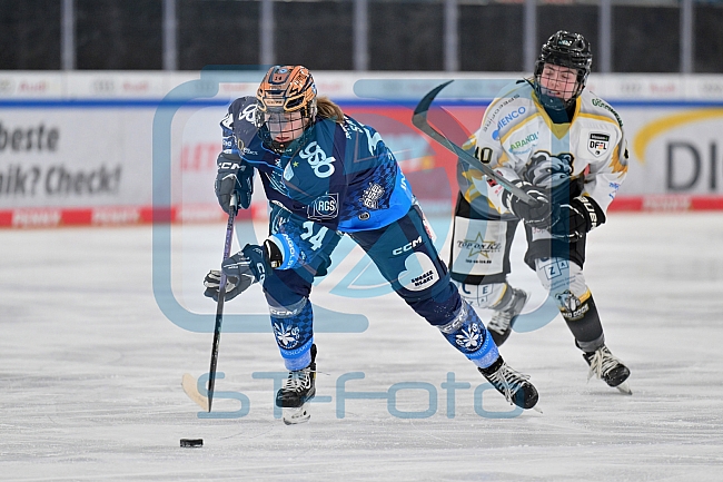 Eishockey, Frauen, DFEL, Saison 2024-2025, ERC Ingolstadt - Mad Dogs Mannheim, 23.11.2024